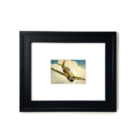 1940s USA P47 Thunderbolt - Vintage Aviation Framed Art