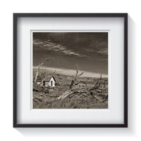 An old shack entangled within the weathered fallen trees. Framed fine art rustic photography by Amanda Hedlund.  Framed wall art for your home, office, business, restaurant, bar, vacation house or hotel.