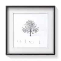 A solo frozen tree stands alone in the winter wonderland of Wyoming. Framed fine art tree photography by Amanda Hedlund.   Framed wall art for your home, office, business, restaurant, bar, vacation house or hotel.