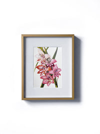 Vintage floral botanical gladiolus iris sword-shaped flower matted in white and framed in gold. Vertical display wall wart. Perfect addition to any gallery wall. We have several floral prints available. Antique artwork from the 1970s.