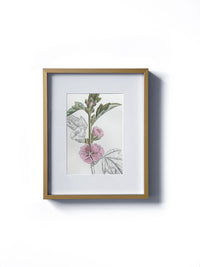 Vintage floral botanical hollyhock sketch flower matted in white and framed in gold. Vertical display wall wart. Perfect addition to any gallery wall. We have several floral prints available. Antique artwork from the 1970s.