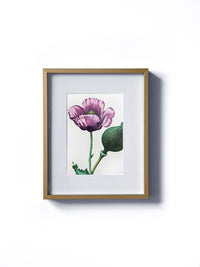 Vintage floral botanical purple poppy flower matted in white and framed in gold. Vertical display wall wart. Perfect addition to any gallery wall. We have several floral prints available. Antique artwork from the 1970s.