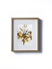 Vintage floral botanical yellow lily garden flower matted in white and framed in gold. Vertical display wall wart. Perfect addition to any gallery wall. We have several floral prints available. Antique artwork from the 1970s.
