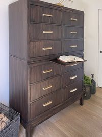 Vintage Wall Chest of Drawers - Dark, Moody and Solid Oak Apothecary or Card Catalog Inspired Cabinet - Extra Storage. Style points includes an artisan dark stain finish, champagne gold pull hardware and soft gold reading or artwork lamp mounted on top. The rich restored finish is in excellent condition on this beautiful storage cabinet. 