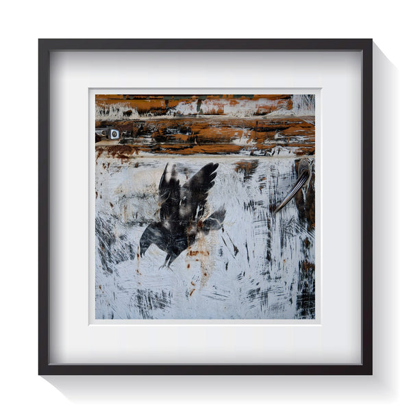 Framed art of black bird logo on vintage patina truck. Framed fine art classic truck photography by Amanda Hedlund.  Framed print for your home, office, business, restaurant or hotel.  Signed Limited Edition of 25.
