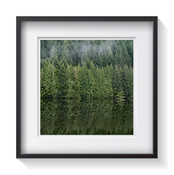 Mist in the pines reflecting on the still waters of Alice Lake in British Columbia. Framed fine art tree and waterscape photography by Andrew Grant. Framed wall art for your home, office, business, restaurant, bar, vacation house or hotel.