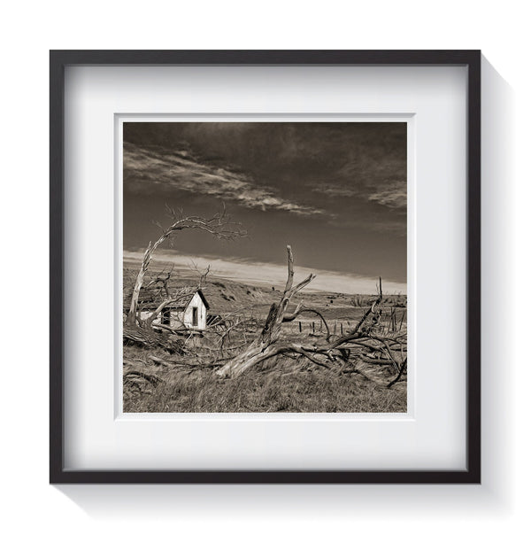 An old shack entangled within the weathered fallen trees. Framed fine art rustic photography by Amanda Hedlund.  Framed wall art for your home, office, business, restaurant, bar, vacation house or hotel.