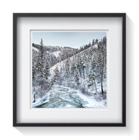 Frozen trees along the Salmon River in Idaho. Framed fine art water and landscape photography by Andrew Grant.   Framed wall art for your home, office, business, restaurant, bar, vacation house or hotel.