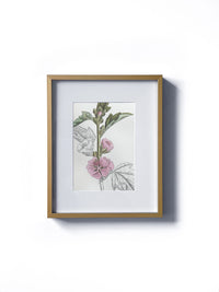Vintage floral botanical hollyhock sketch flower matted in white and framed in gold.  Vertical display wall wart. Perfect addition to any gallery wall. We have several floral prints available. Antique artwork from the 1970s. 
