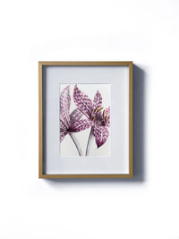 Vintage floral botanical lily of the valley purple wild flower matted in white and framed in gold.  Vertical display wall wart. Perfect addition to any gallery wall. We have several floral prints available. Antique artwork from the 1970s. 
