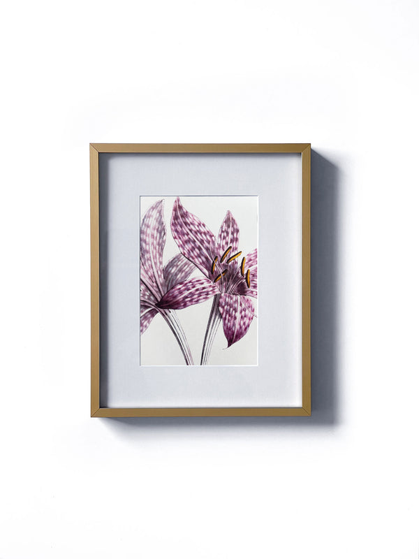 Vintage floral botanical lily of the valley purple wild flower matted in white and framed in gold.  Vertical display wall wart. Perfect addition to any gallery wall. We have several floral prints available. Antique artwork from the 1970s. 