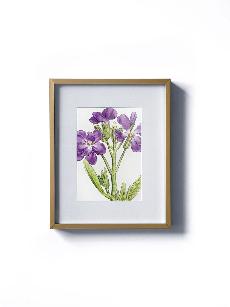 Vintage floral botanical purple stock cluster flower matted in white and framed in gold.  Vertical display wall wart. Perfect addition to any gallery wall. We have several floral prints available. Antique artwork from the 1970s. 