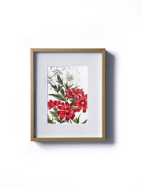 Vintage floral botanical scarlet lychnis flower matted in white and framed in gold.  Vertical display wall wart. Perfect addition to any gallery wall. We have several floral prints available. Antique artwork from the 1970s. 