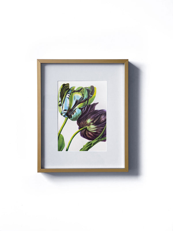 Vintage floral botanical blue and purple tulip flower matted in white and framed in gold.  Vertical display wall wart. Perfect addition to any gallery wall. We have several floral prints available. Antique artwork from the 1970s. 